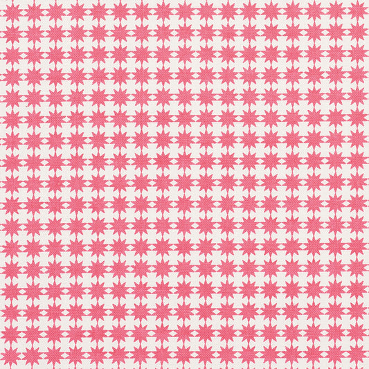 Find 177085 Stella Pink by Schumacher Fabric
