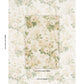 Purchase 177206 | Nancy Floral, Ivory - Schumacher Fabric