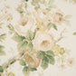 Purchase 177206 | Nancy Floral, Ivory - Schumacher Fabric