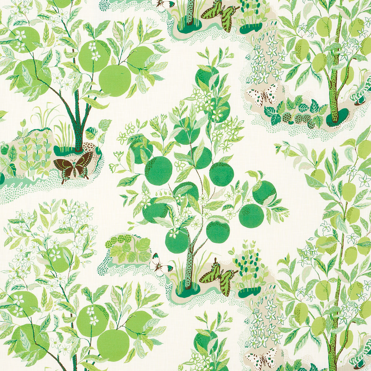 Order 177332 Citrus Garden Indoor/Outdoor Leaf by Schumacher Fabric