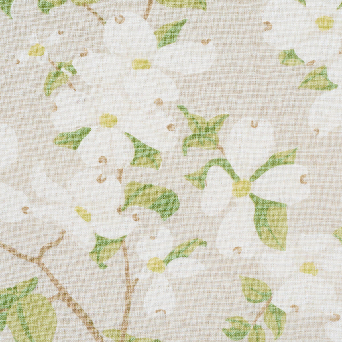 Purchase 177414 | Blooming Branch, Dove - Schumacher Fabric