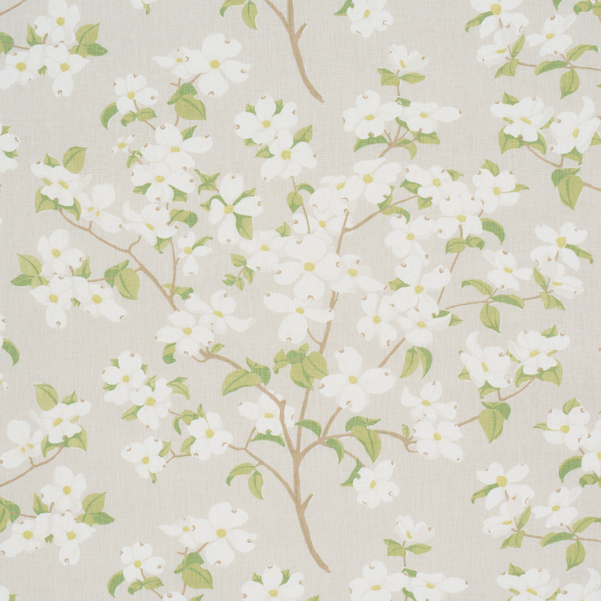 Purchase 177414 | Blooming Branch, Dove - Schumacher Fabric