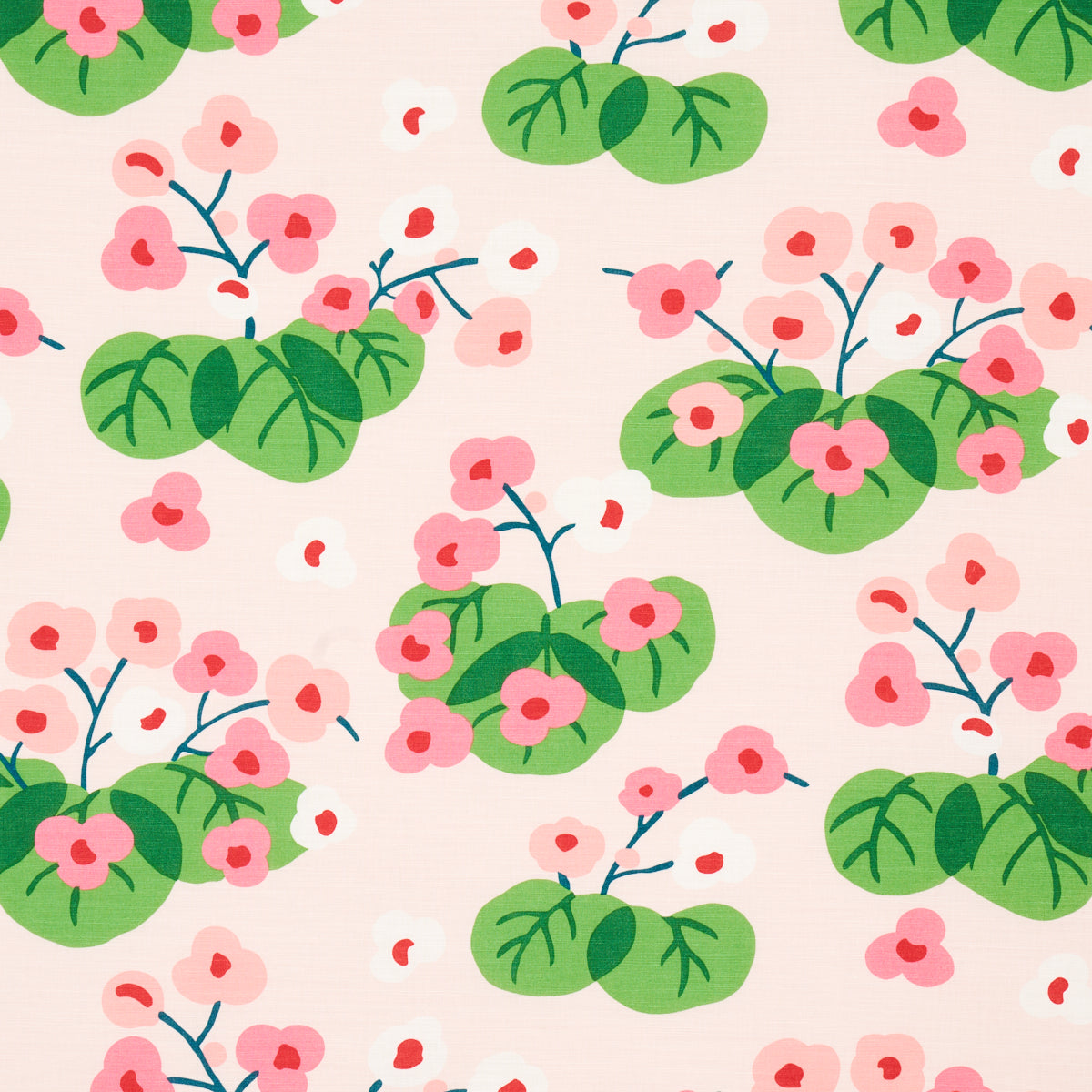 Shop 177480 Saku Pink by Schumacher Fabric