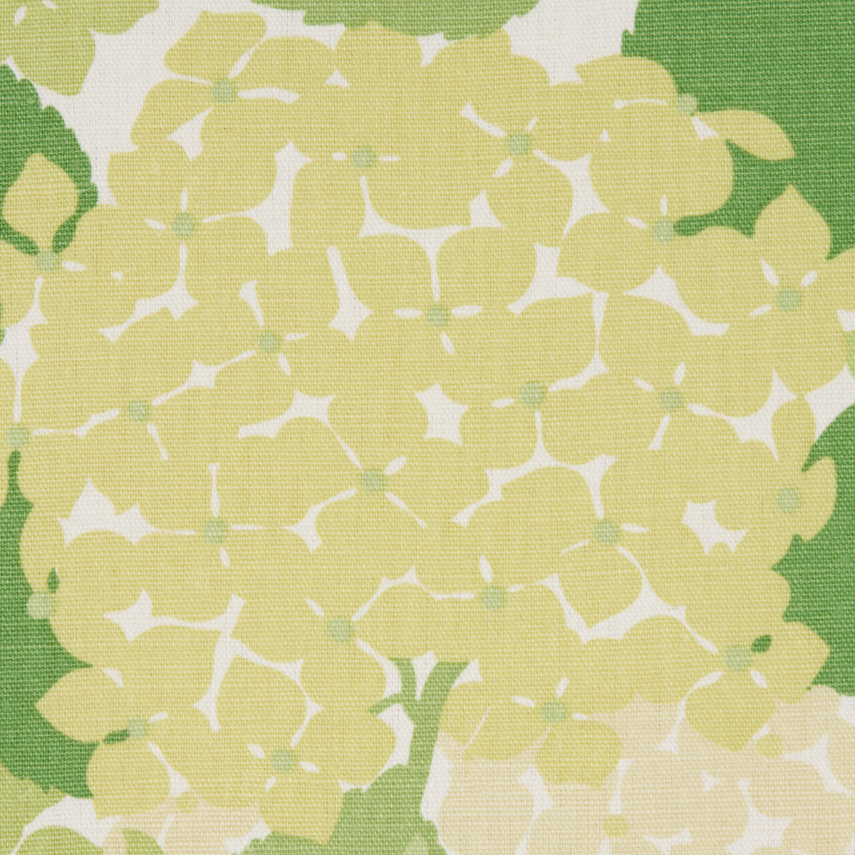 Purchase 177584 | Bouquet Toss, Green - Schumacher Fabric