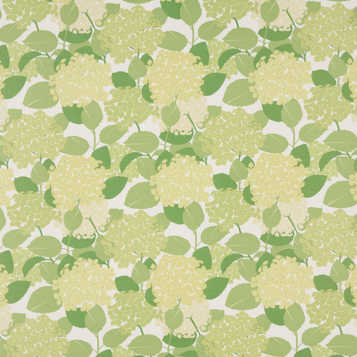 Purchase 177584 Hydrangea, Green by Schumacher Fabric