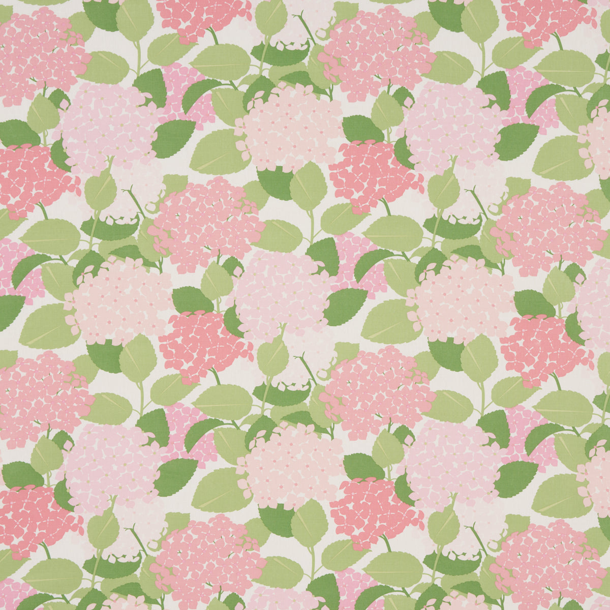 Purchase 177585 Hydrangea, Petal by Schumacher Fabric