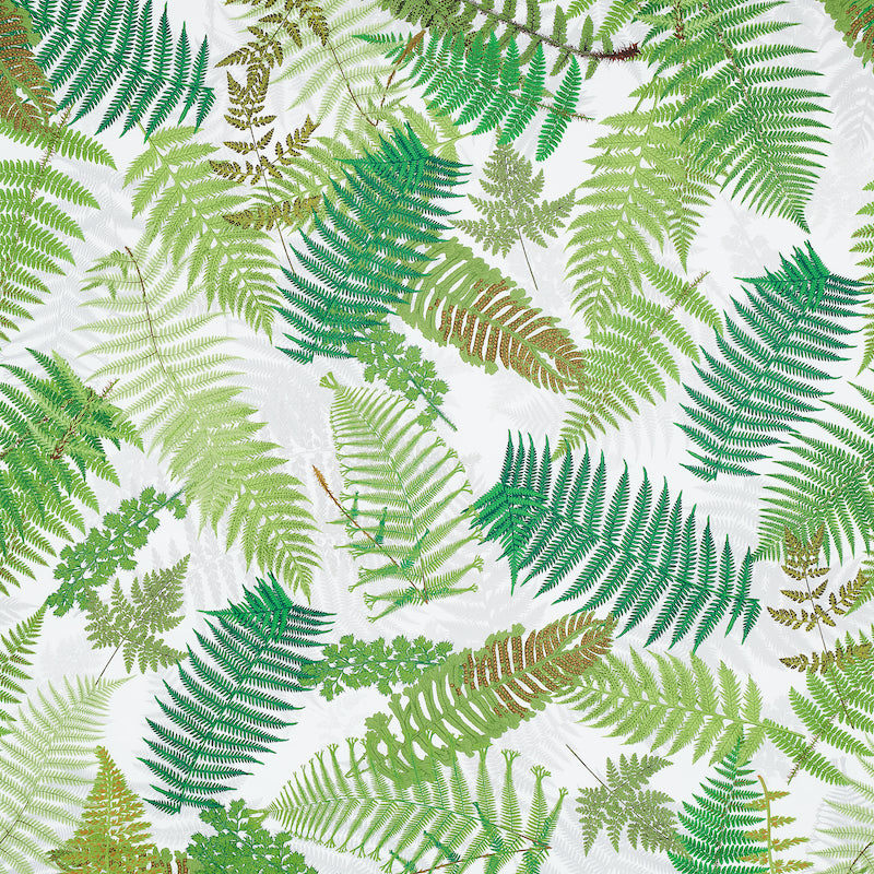 Search 177590 FernariumGreen & Ivory by Schumacher Fabric
