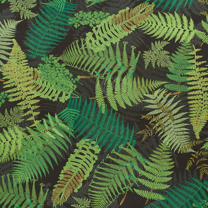 Purchase 177591 FernariumGreen & Black by Schumacher Fabric