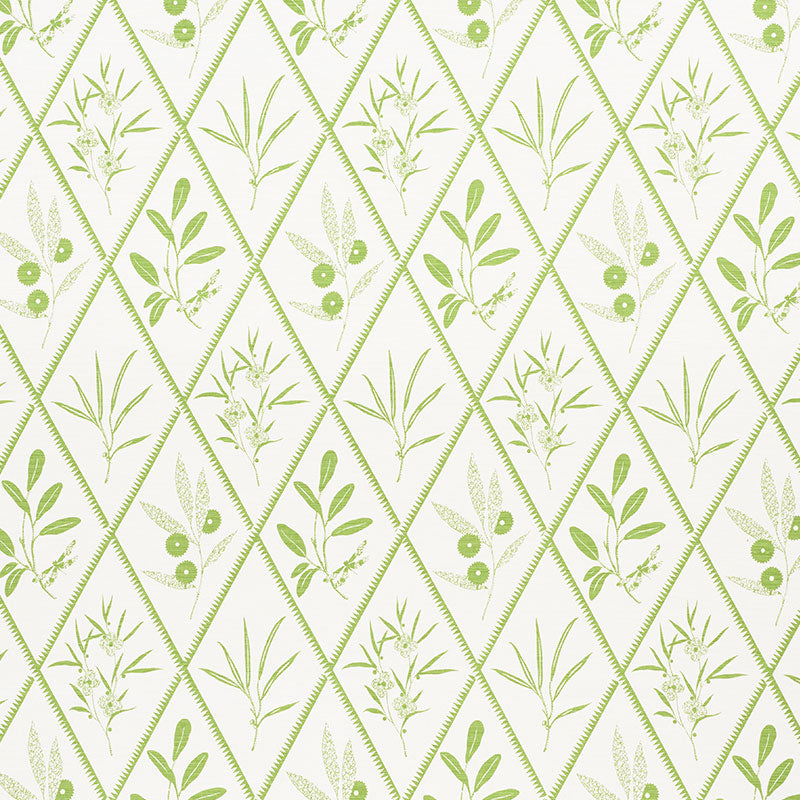 Acquire 177641 Endimione Leaf by Schumacher Fabric