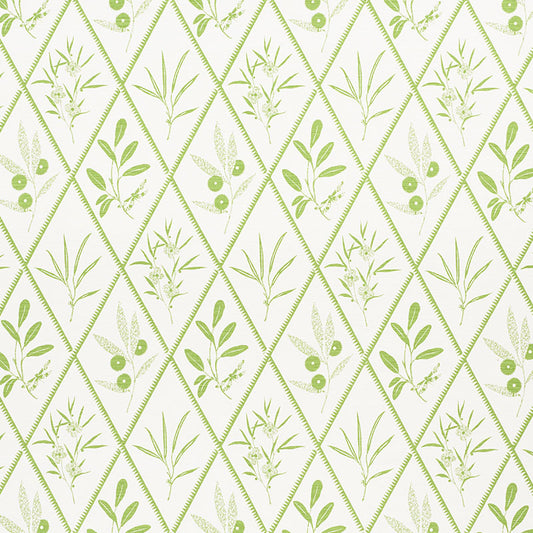 Acquire 177641 Endimione Leaf by Schumacher Fabric