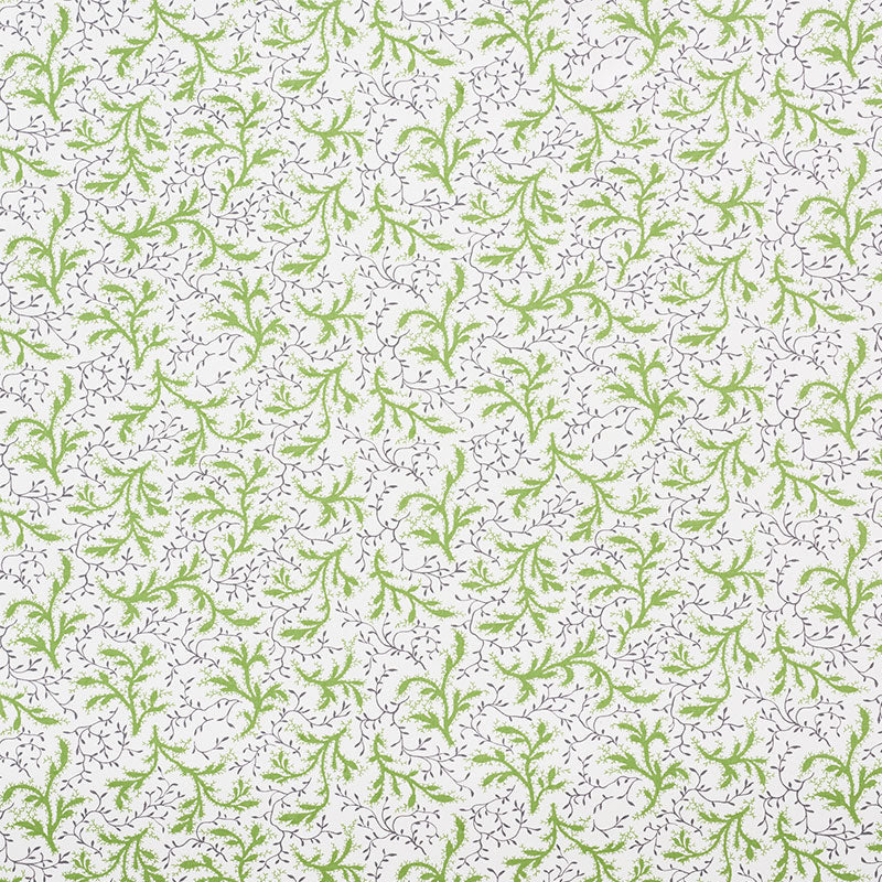 Shop 177831 Sprig Moss by Schumacher Fabric