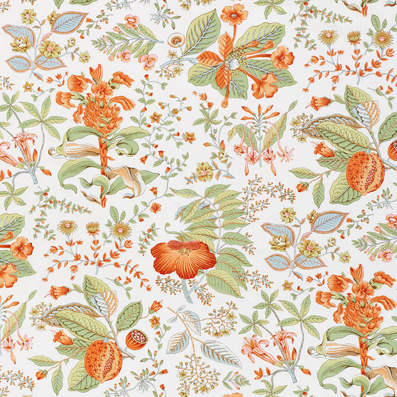 Find 178122 Pomegranate Botanical Orange by Schumacher Fabric