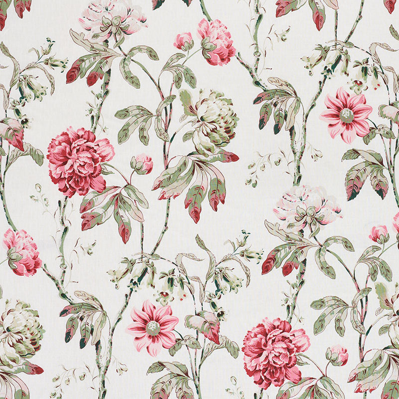Shop 178142 Daydream Fuchsia by Schumacher Fabric