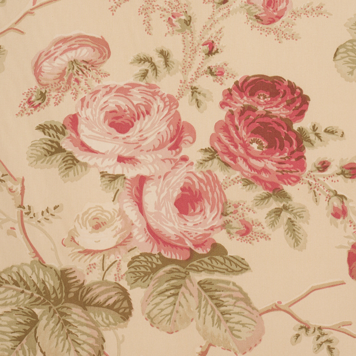 Purchase 178157 | Salisbury Chintz, Butter - Schumacher Fabric