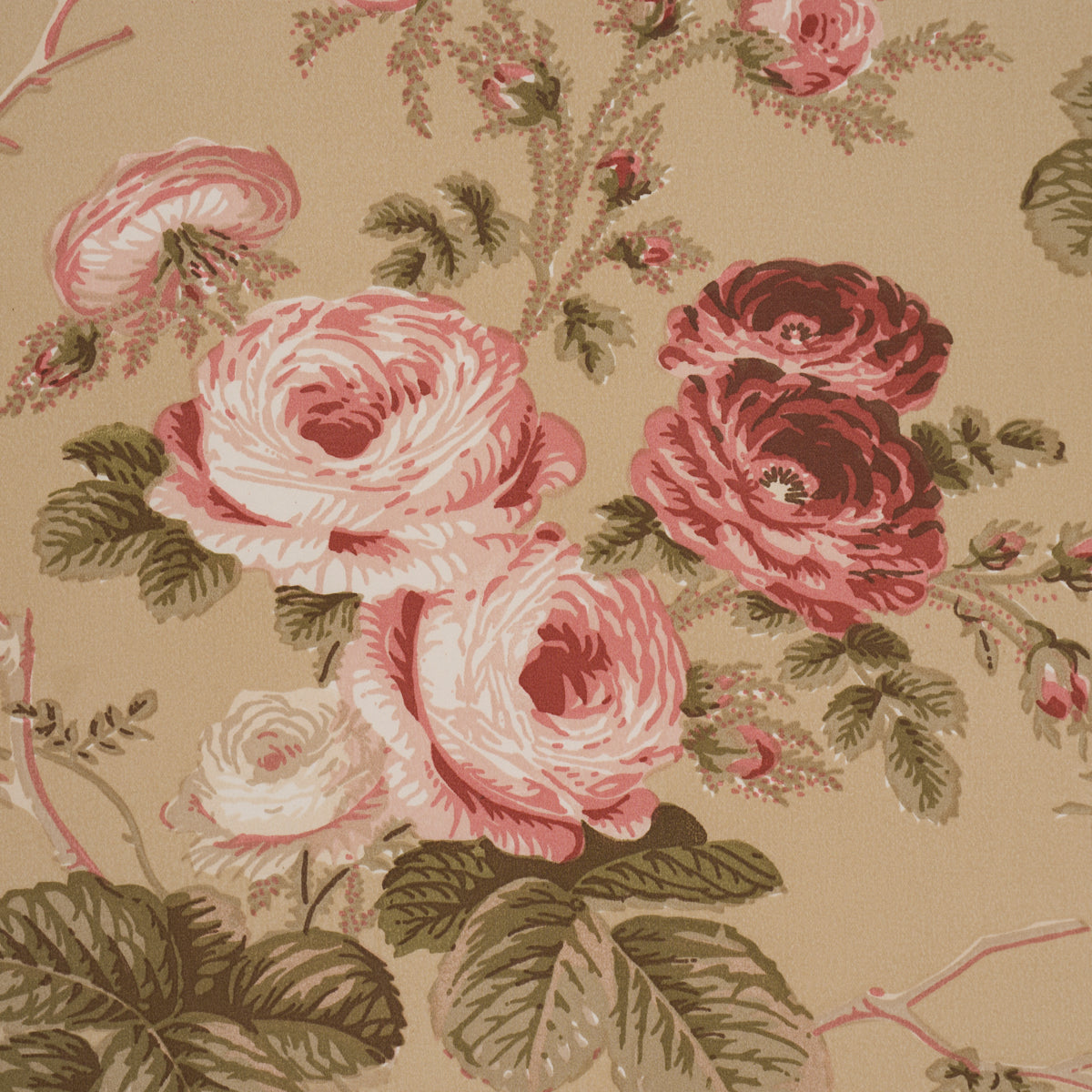 Purchase 178158 | Salisbury Chintz, Tobacco - Schumacher Fabric