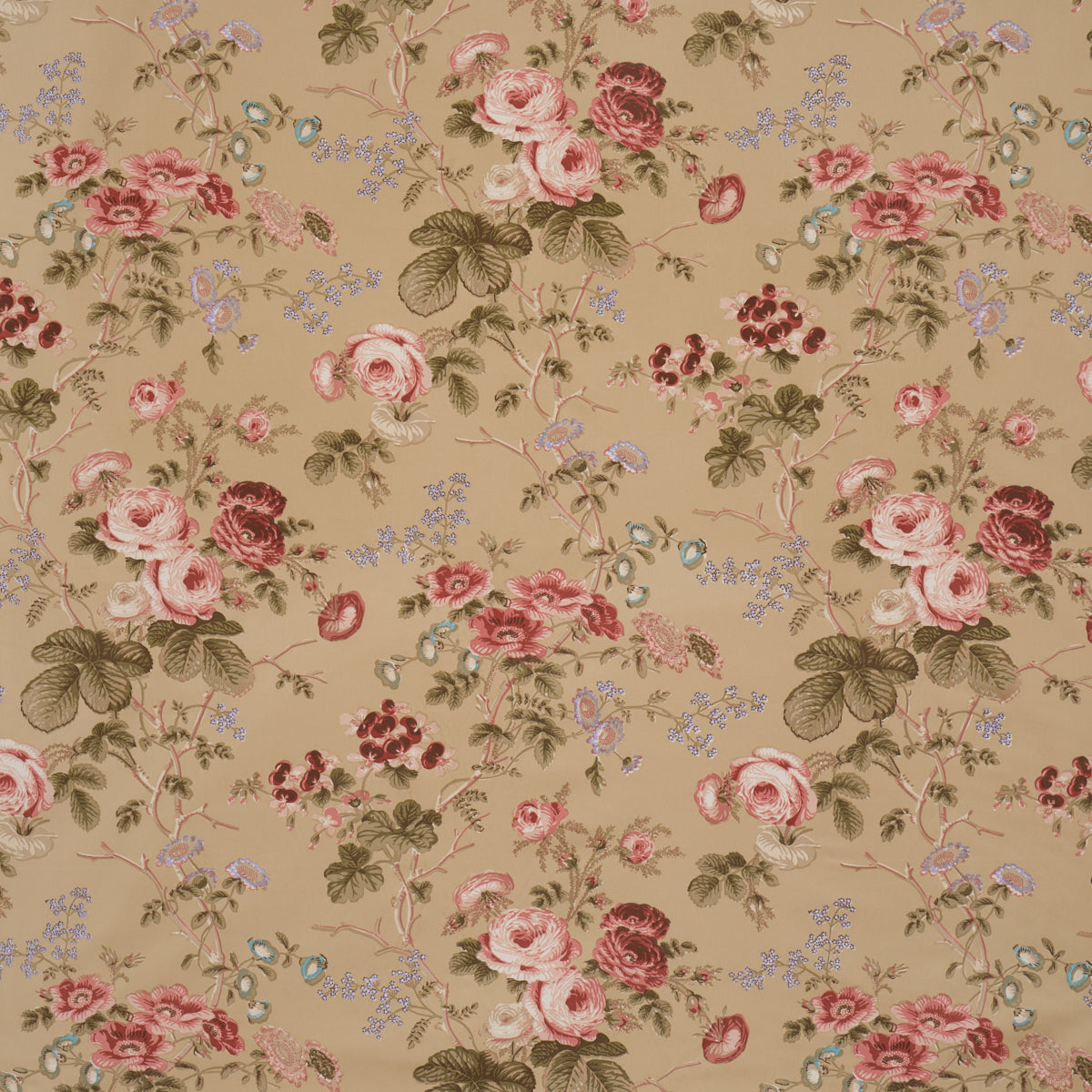 Purchase 178158 | Salisbury Chintz, Tobacco - Schumacher Fabric