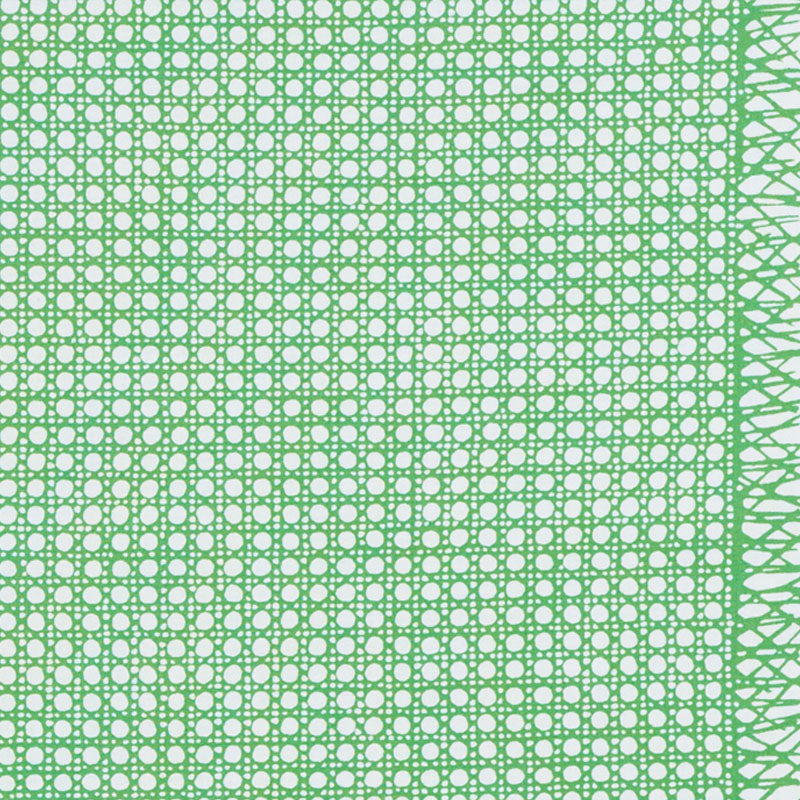 Search 178191 Sugar Cane Green by Schumacher Fabric
