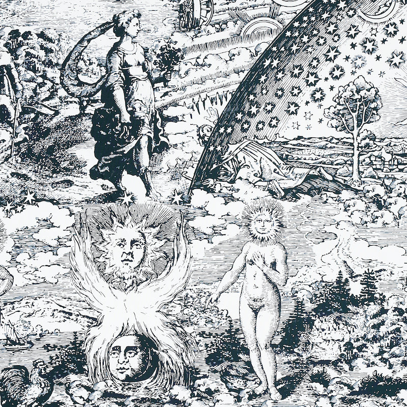 Acquire 178621 Modern Toile Black by Schumacher Fabric