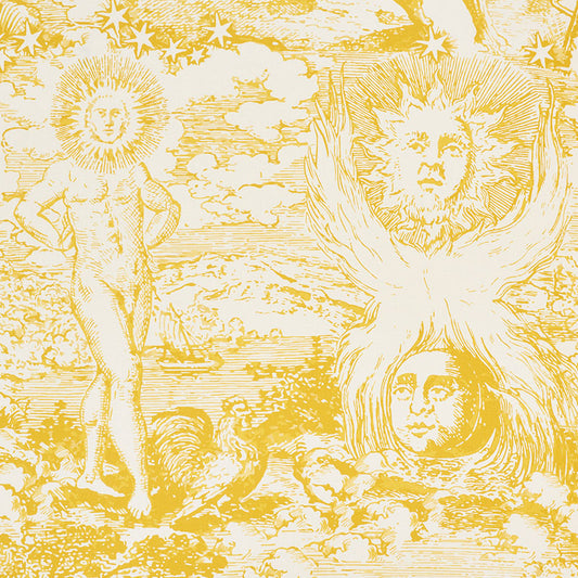 Purchase 178622 Modern Toile Yellow by Schumacher Fabric