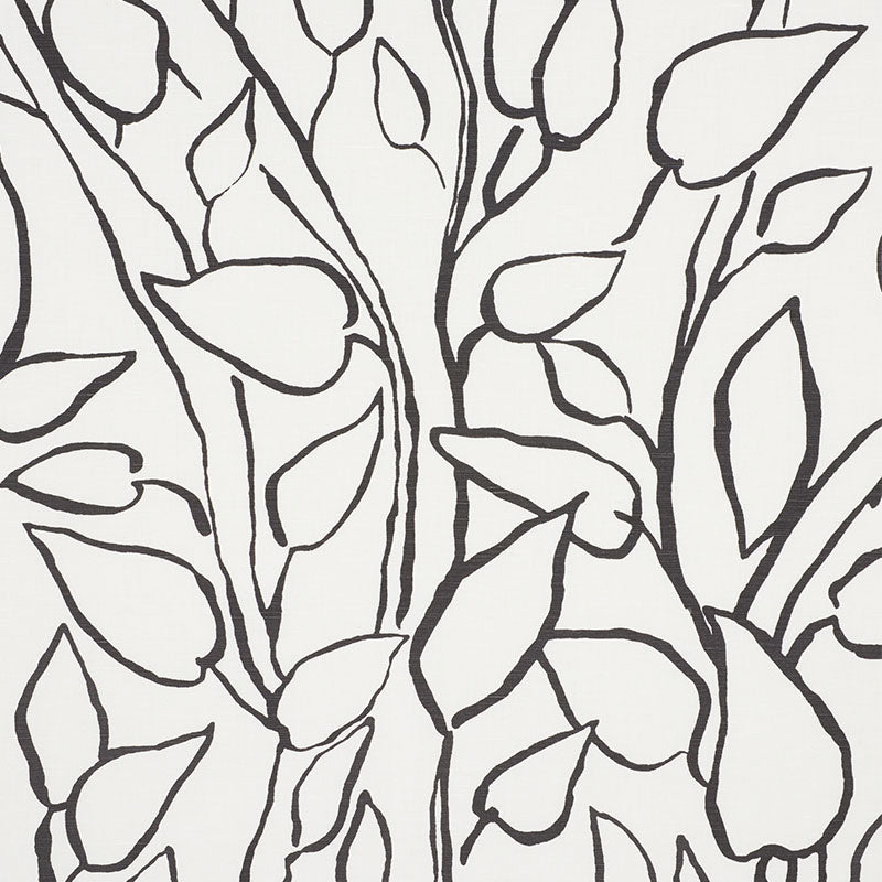 Acquire 178702 Solandra Vine Black by Schumacher Fabric
