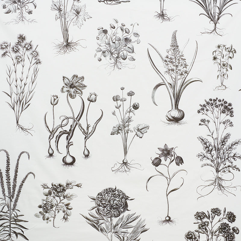 Looking 178740 Cabot Botanical Large Ivory by Schumacher Fabric