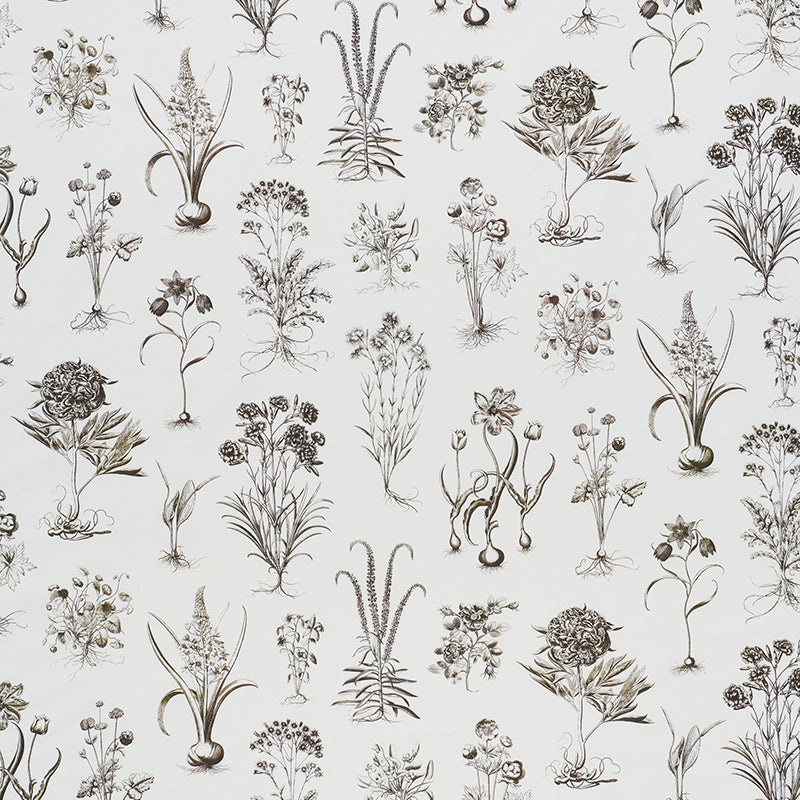 Order 178751 Cabot Botanical Ivory by Schumacher Fabric