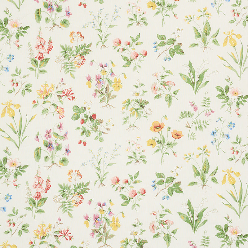 Buy 178791 Floreana Berry by Schumacher Fabric