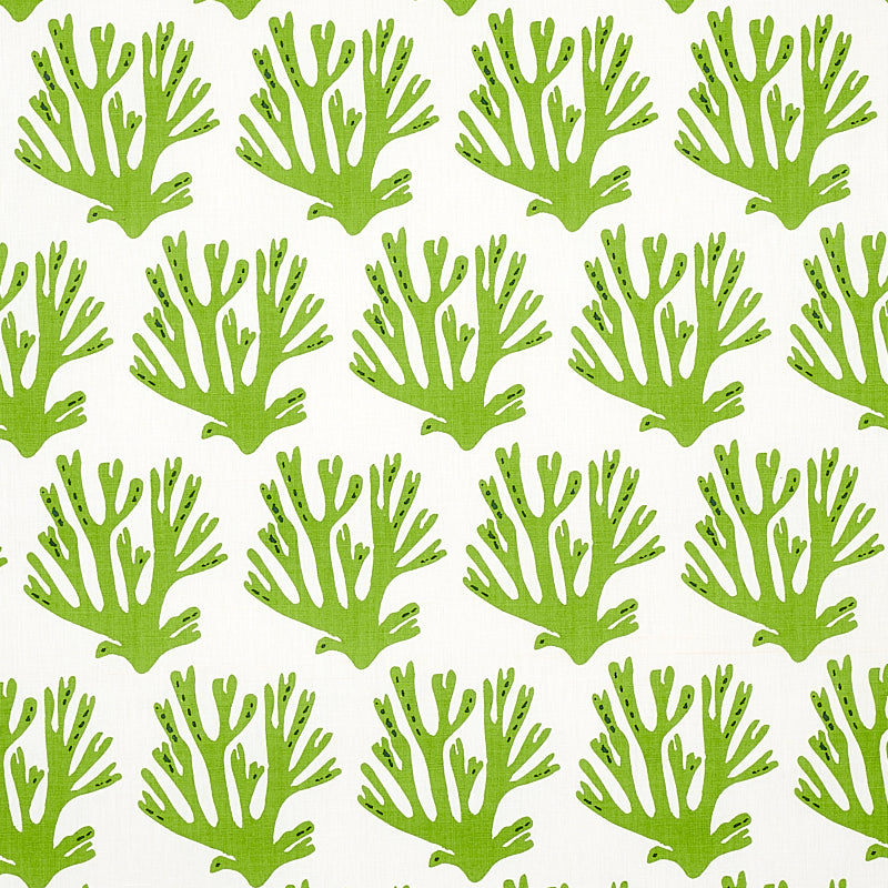 Acquire 179101 Coral Green by Schumacher Fabric