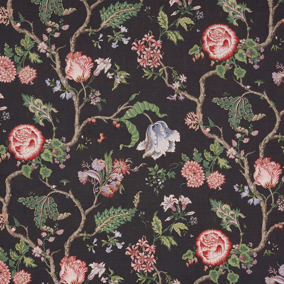 Purchase 179653 | Josephine, Noir - Schumacher Fabric