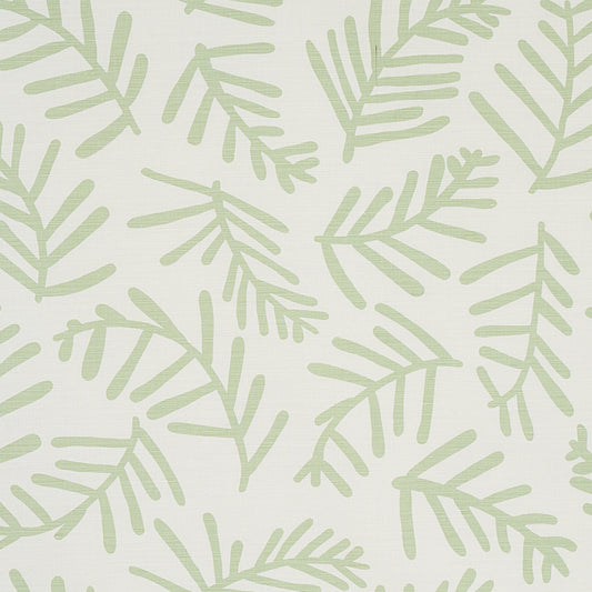 Buy 179910 Tiah Cove Sage Leaf by Schumacher Fabric