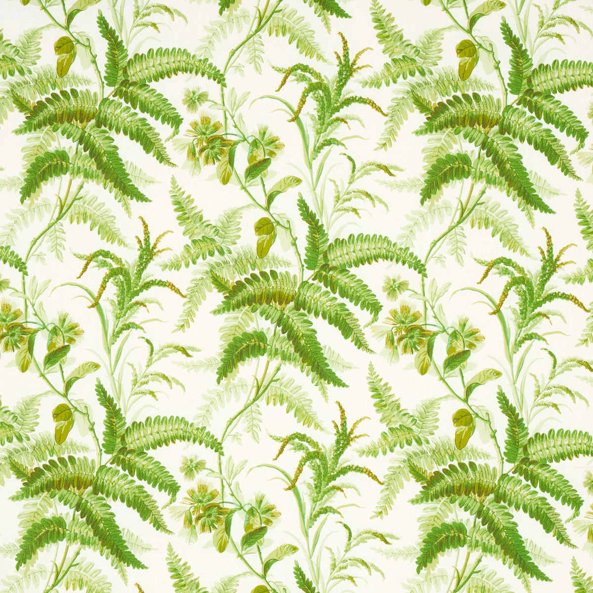 Looking 180100 Myers Fern Linen Tropical by Schumacher Fabric