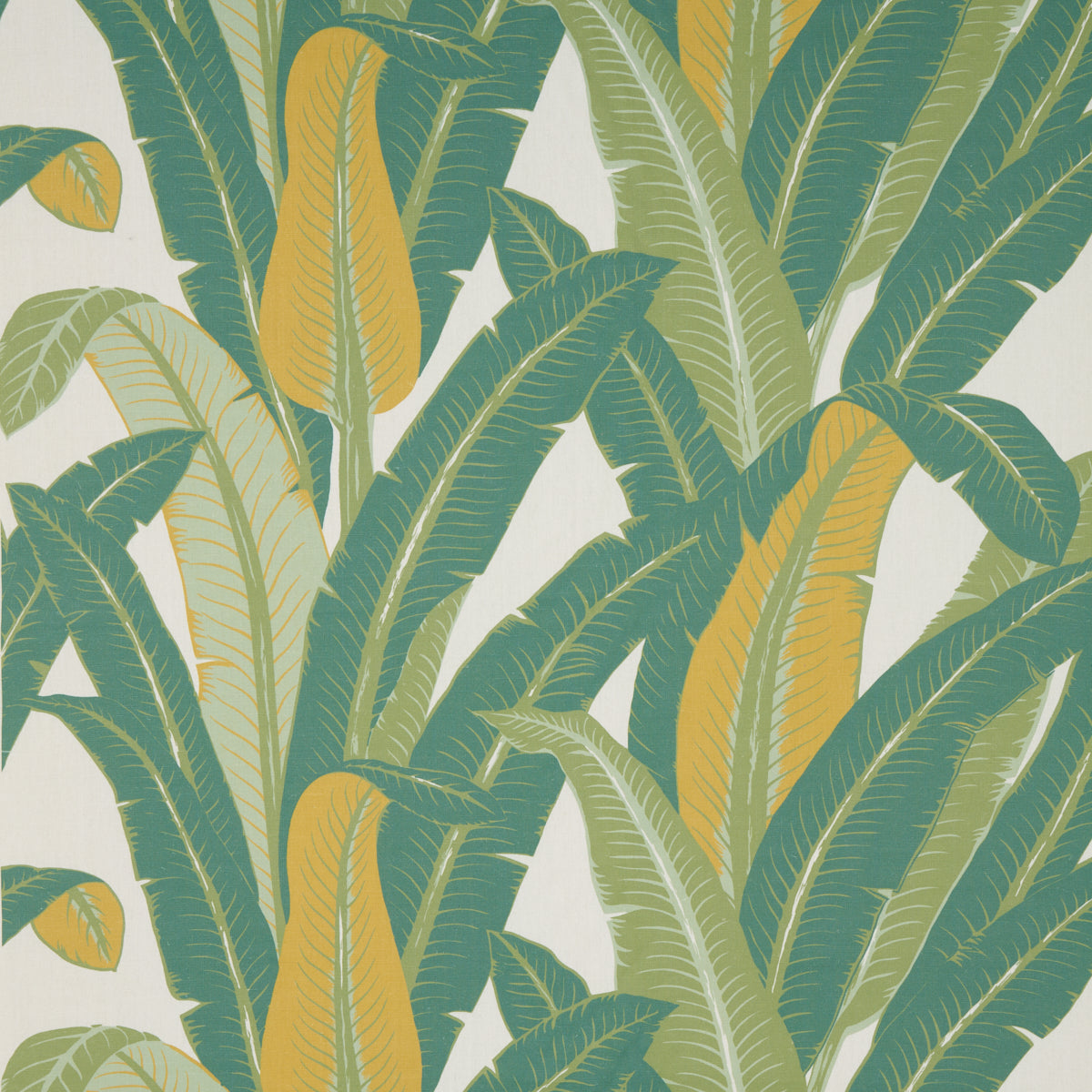 Purchase 180200 Tropical Isle, Green On Ivory by Schumacher Fabric