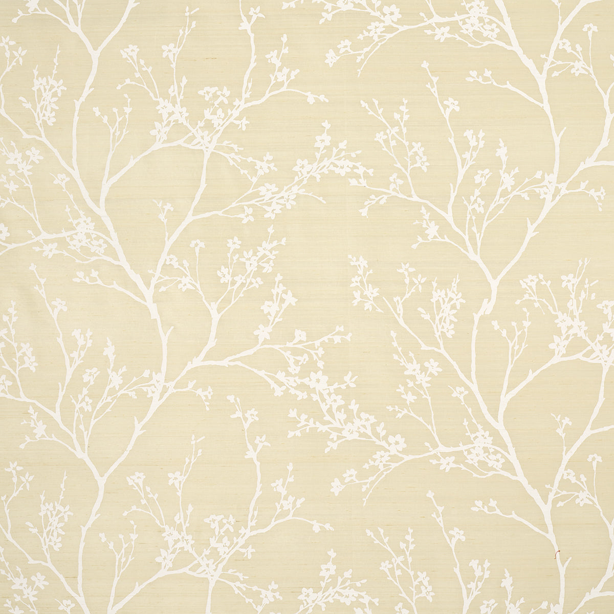 Purchase 180501 | Azulejos, Champagne - Schumacher Fabric