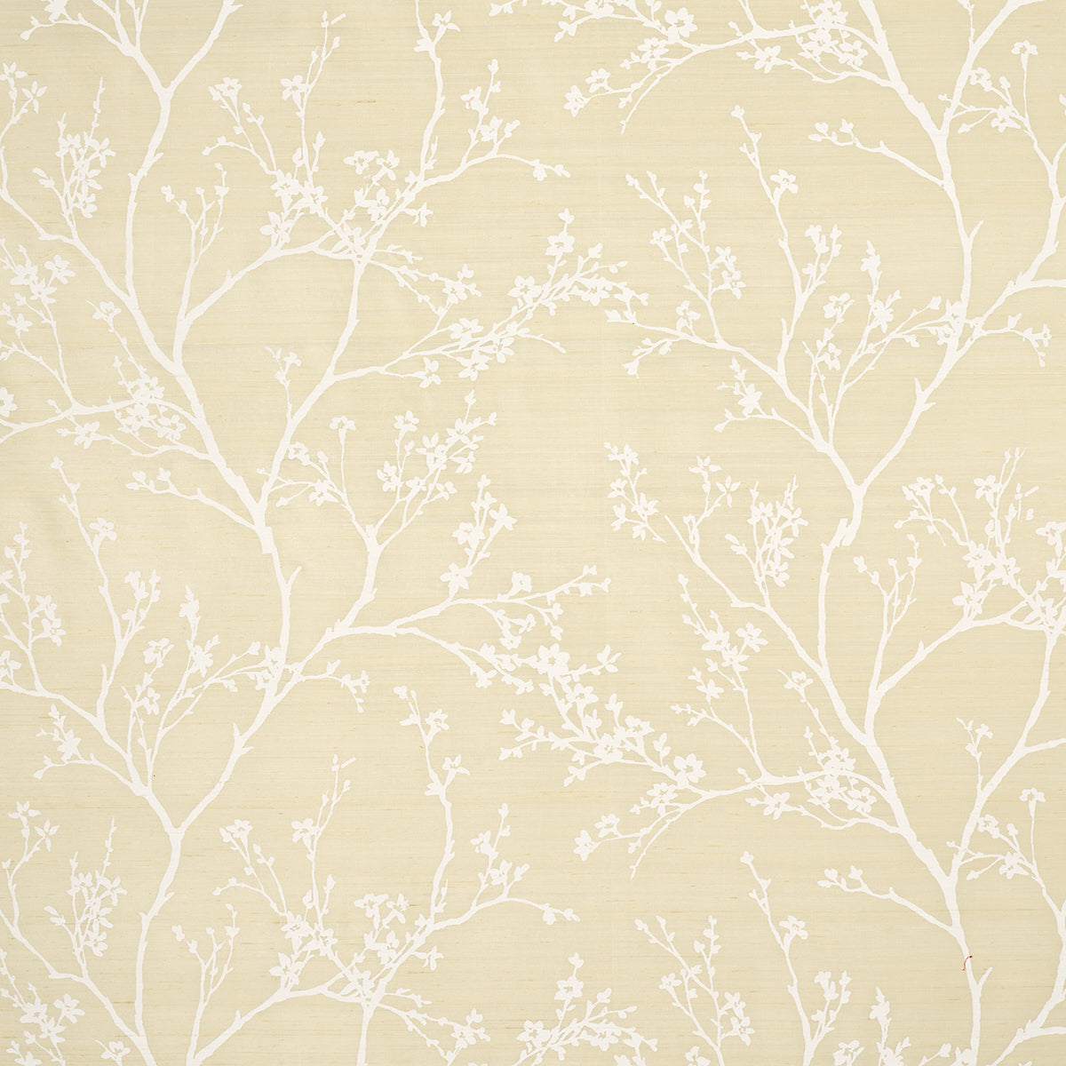 Purchase 180501 Twiggy Silk, Champagne by Schumacher Fabric