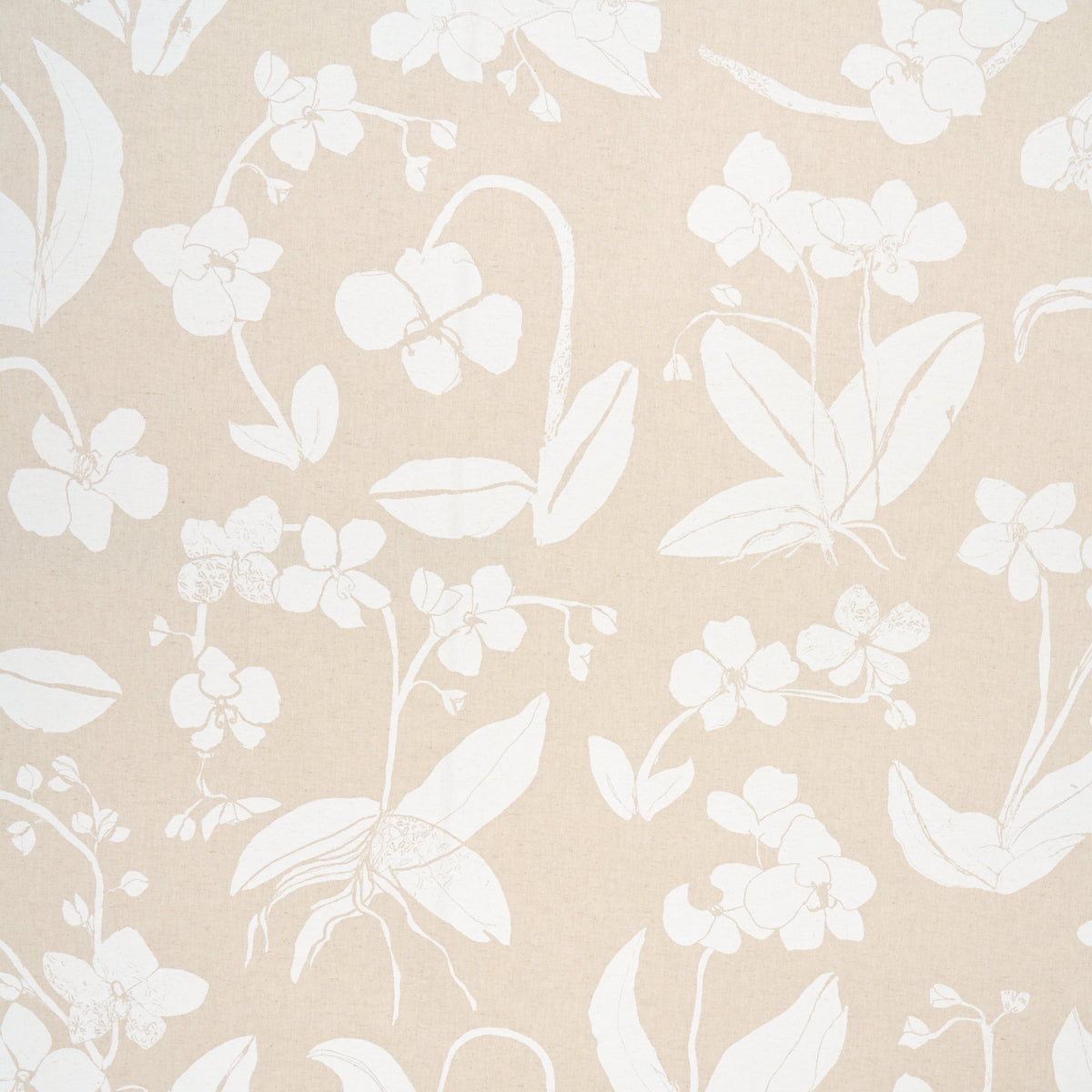 Purchase 180511 Orchids Have Dreams, Light Neutral by Schumacher Fabric