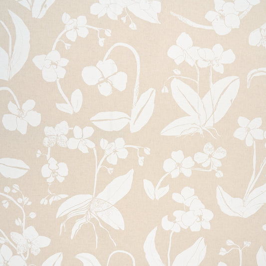 Purchase 180511 Orchids Have Dreams, Light Neutral by Schumacher Fabric