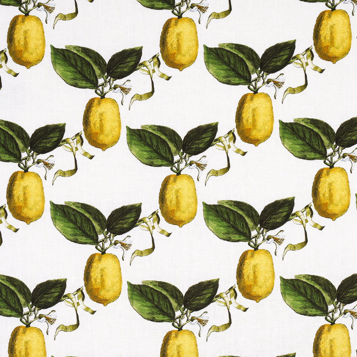Purchase 180630 Le Citron, Ivory by Schumacher Fabric