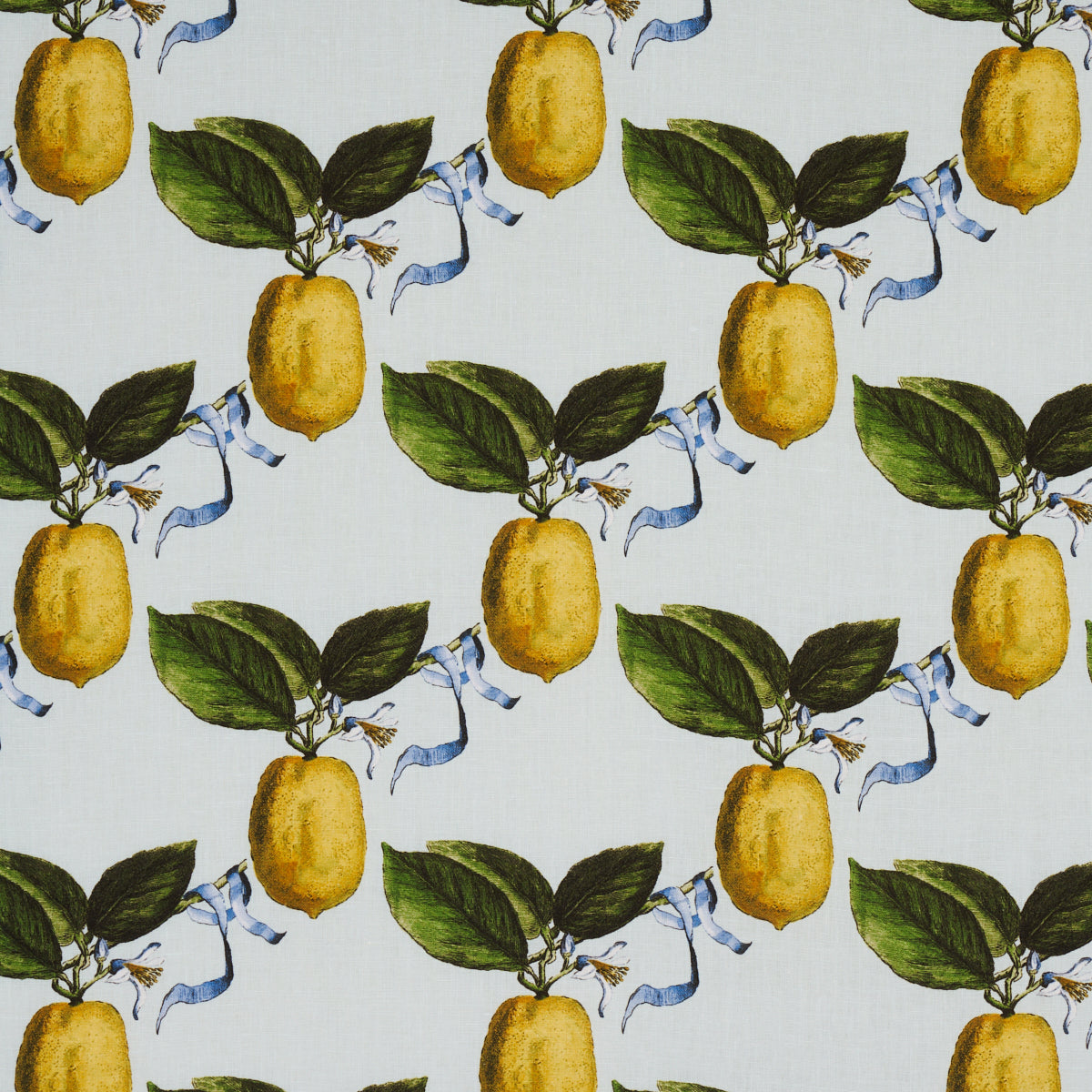 Purchase 180631 Le Citron, Sky by Schumacher Fabric