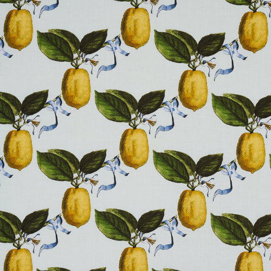 Purchase 180631 Le Citron, Sky by Schumacher Fabric