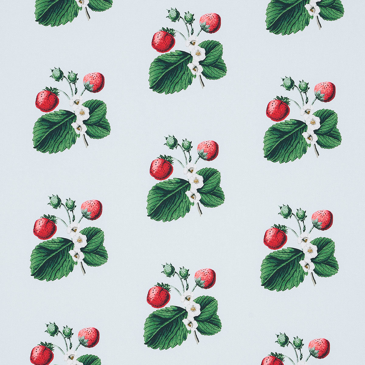 Purchase 180641 Strawberry Hill, Sky by Schumacher Fabric