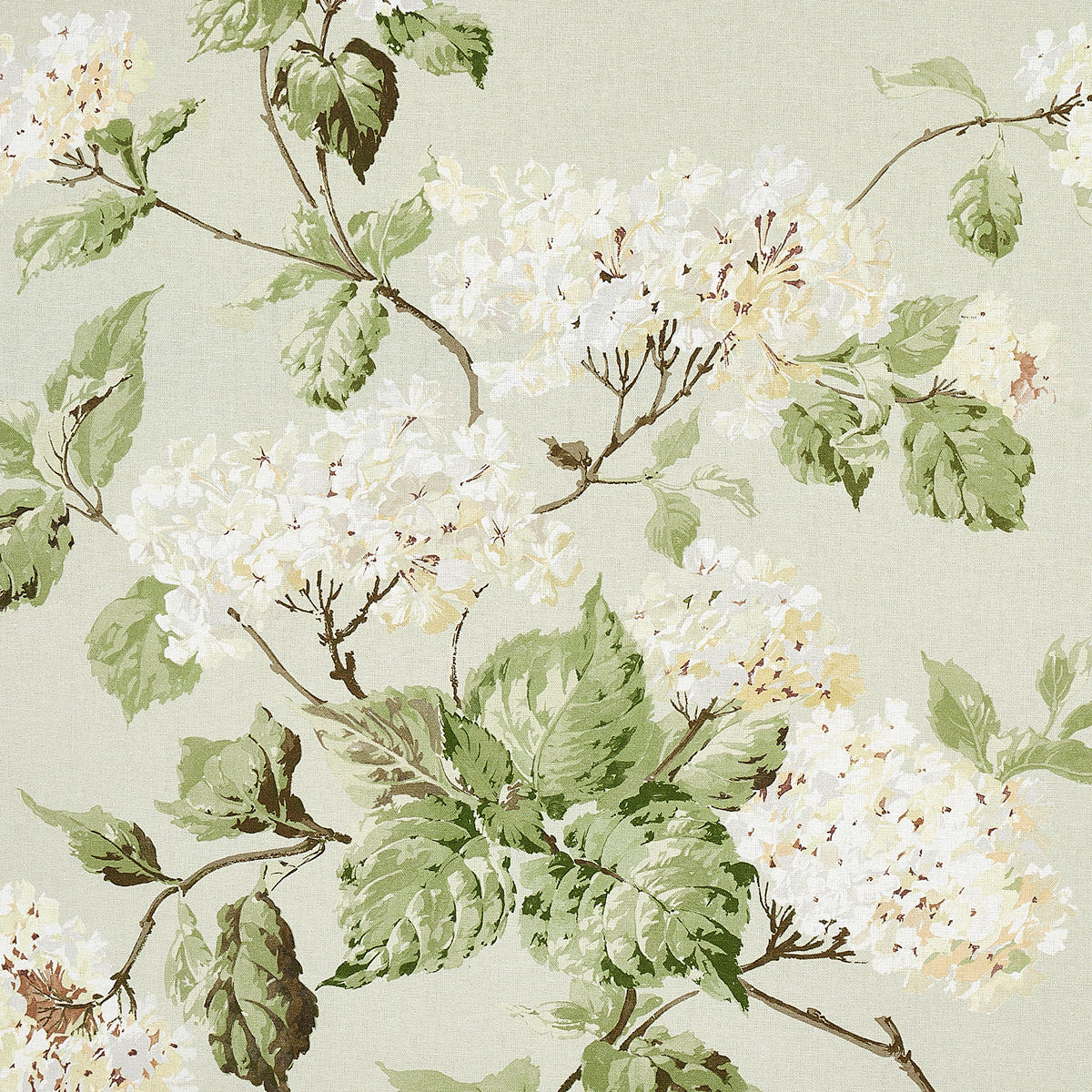 Purchase 180820 Summer Hydrangea, Celadon by Schumacher Fabric