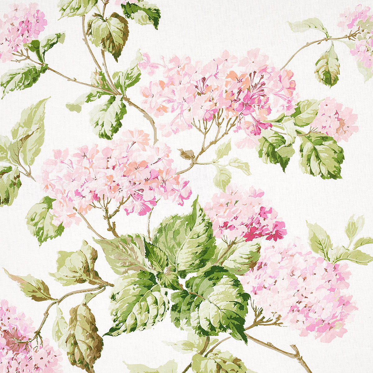 Purchase 180821 Summer Hydrangea, Blush by Schumacher Fabric