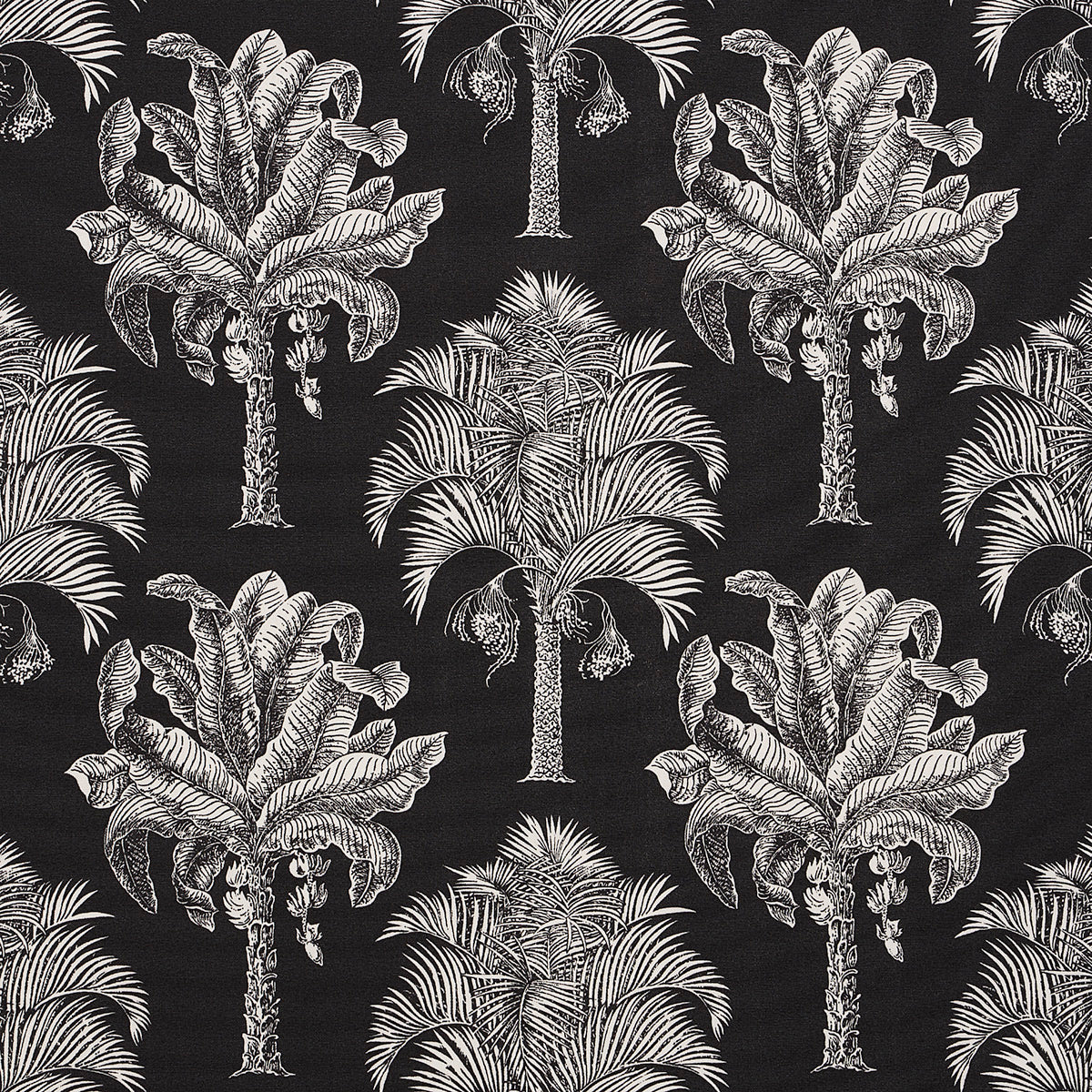 Purchase 180962 Grand Palms Indoor/Outdoor, Black by Schumacher Fabric
