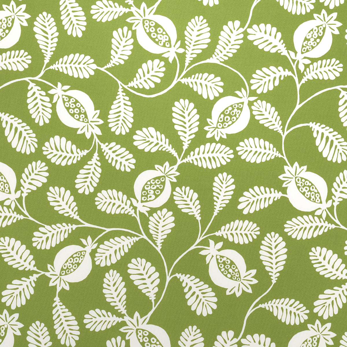 Purchase 180991 Lanzadera Vine Indoor/Outdoor, Honeydew by Schumacher Fabric