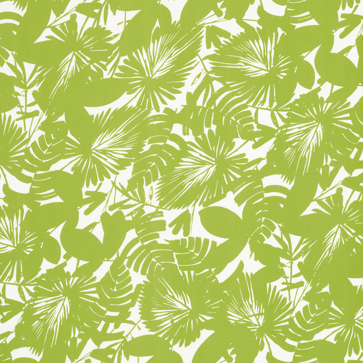 Purchase 181071 | Palisades Palm Indoor/Outdoor, Fern - Schumacher Fabric