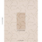 Purchase 181630 | Enzo Print, Sienna - Schumacher Fabric