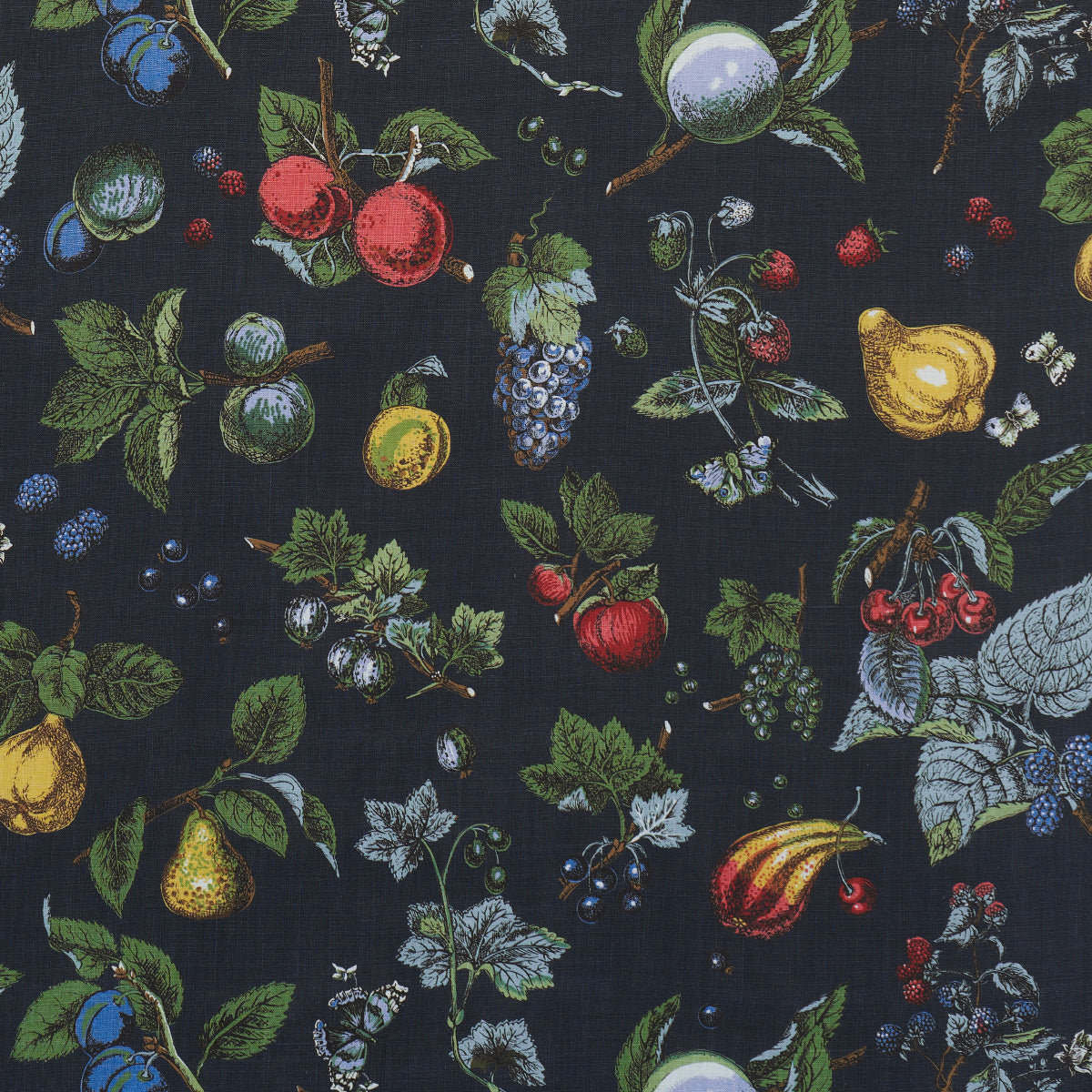 Purchase 181890 | Berry Grove, Noir - Schumacher Fabric