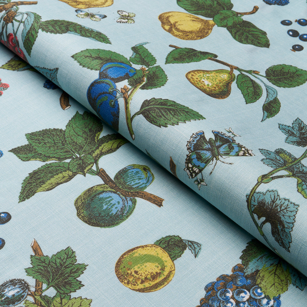 Purchase 181891 | Berry Grove, Sky - Schumacher Fabric