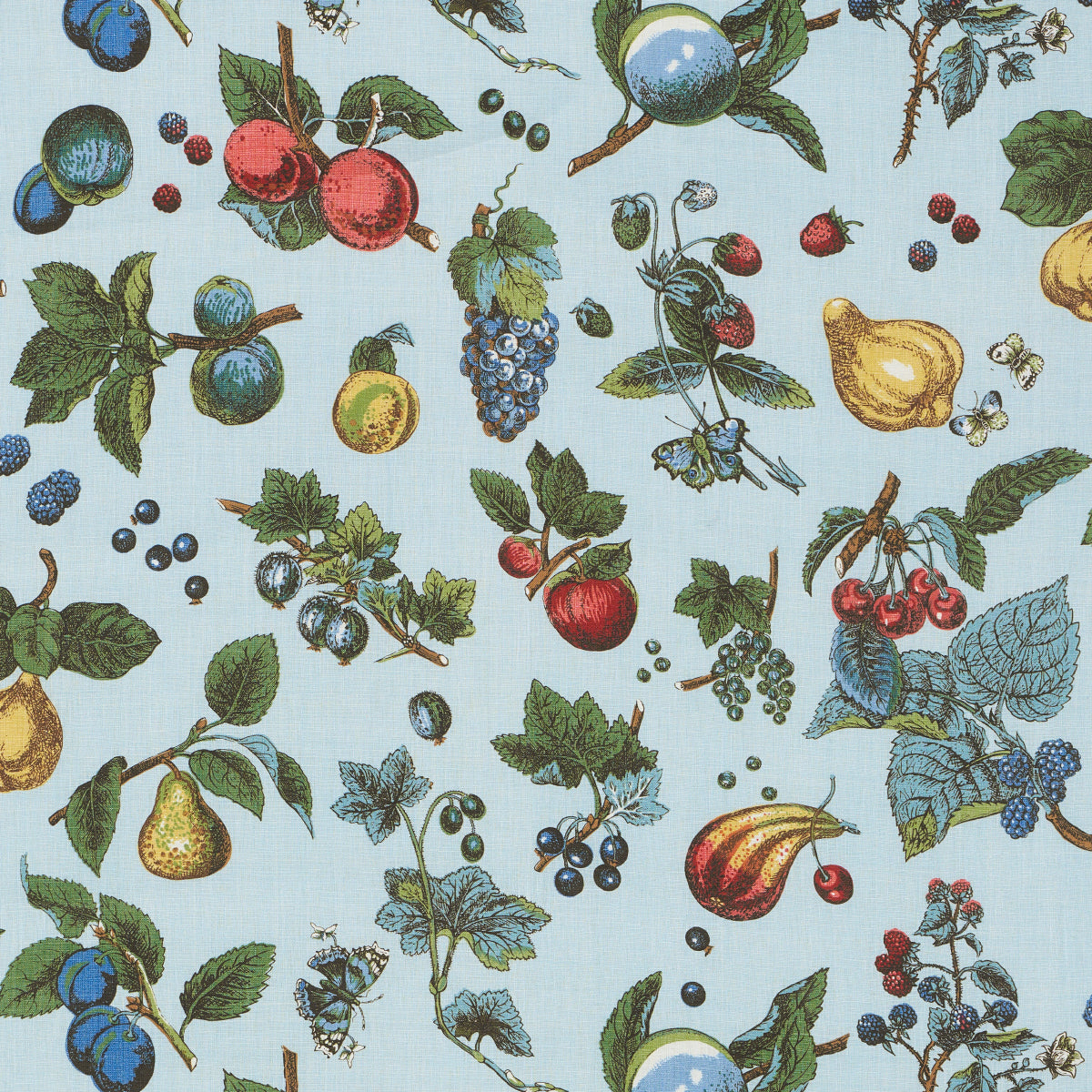 Purchase 181891 | Berry Grove, Sky - Schumacher Fabric