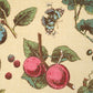Purchase 181892 | Berry Grove, Butter - Schumacher Fabric